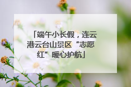 端午小长假，连云港云台山景区“志愿红”暖心护航