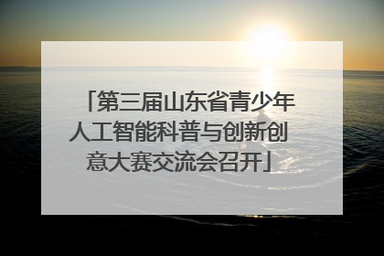 第三届山东省青少年人工智能科普与创新创意大赛交流会召开