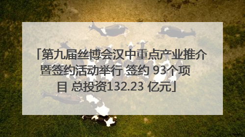 第九届丝博会汉中重点产业推介暨签约活动举行 签约 93个项目 总投资132.23 亿元