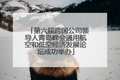 第六届跨国公司领导人青岛峰会通用航空和低空经济发展论坛成功举办
