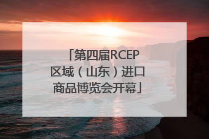 第四届RCEP区域（山东）进口商品博览会开幕