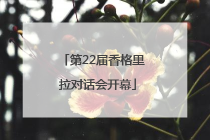 第22届香格里拉对话会开幕