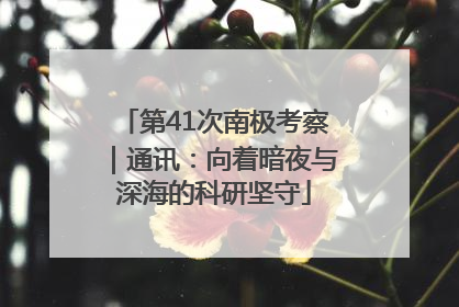 第41次南极考察｜通讯：向着暗夜与深海的科研坚守