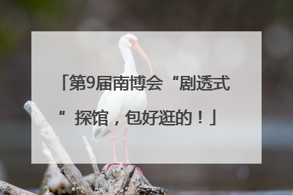 第9届南博会“剧透式”探馆，包好逛的！
