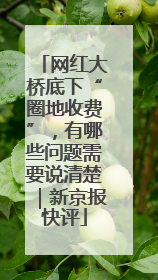 网红大桥底下“圈地收费”，有哪些问题需要说清楚｜新京报快评