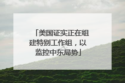 美国证实正在组建特别工作组，以监控中东局势
