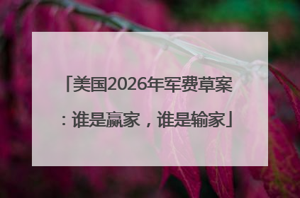 美国2026年军费草案：谁是赢家，谁是输家