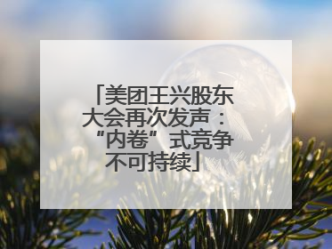 美团王兴股东大会再次发声：“内卷”式竞争不可持续