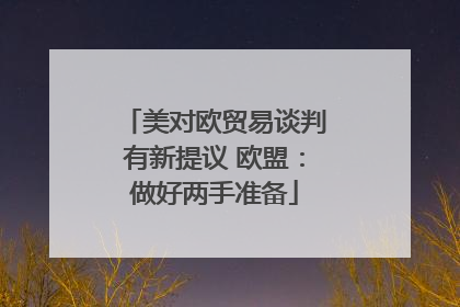 美对欧贸易谈判有新提议 欧盟：做好两手准备