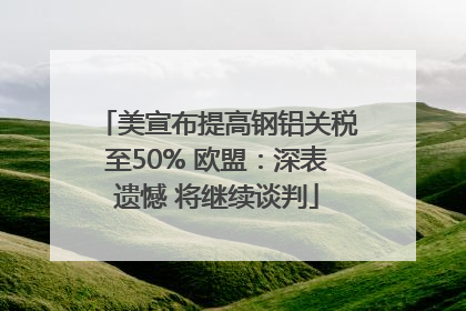 美宣布提高钢铝关税至50% 欧盟：深表遗憾 将继续谈判