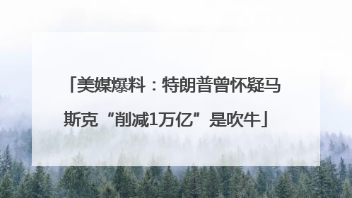 美媒爆料：特朗普曾怀疑马斯克“削减1万亿”是吹牛