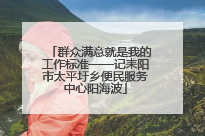 群众满意就是我的工作标准——记耒阳市太平圩乡便民服务中心阳海波