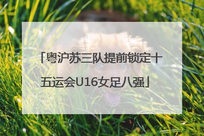 粤沪苏三队提前锁定十五运会U16女足八强