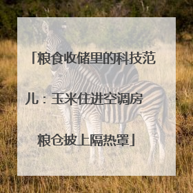 粮食收储里的科技范儿：玉米住进空调房 粮仓披上隔热罩