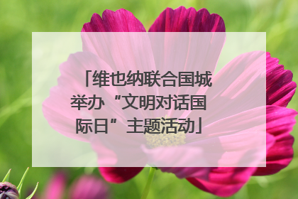 维也纳联合国城举办“文明对话国际日”主题活动