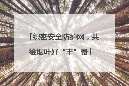 织密安全防护网，共绘烟叶好“丰”景