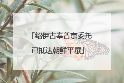 绍伊古奉普京委托已抵达朝鲜平壤
