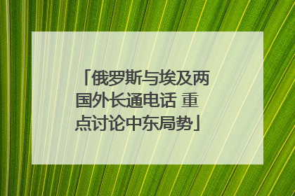 俄罗斯与埃及两国外长通电话 重点讨论中东局势