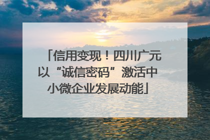 信用变现！四川广元以“诚信密码”激活中小微企业发展动能