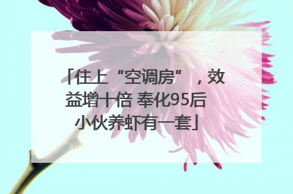 住上“空调房”，效益增十倍 奉化95后小伙养虾有一套