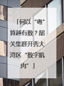 何以“粤”算越有数？韶关集群开秀大湾区“数字肌肉”