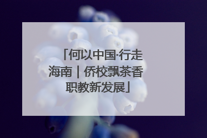 何以中国·行走海南｜侨校飘茶香 职教新发展