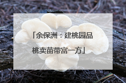 余保洲：建桃园品桃卖苗带富一方