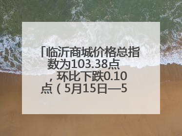 临沂商城价格总指数为103.38点，环比下跌0.10点（5月15日—5月21日）