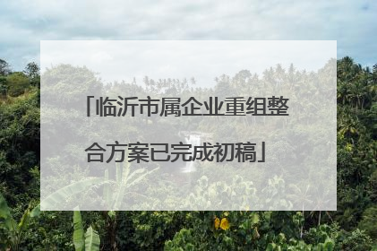 临沂市属企业重组整合方案已完成初稿