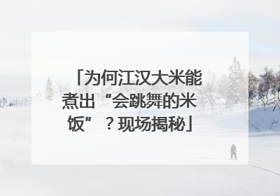 为何江汉大米能煮出“会跳舞的米饭”？现场揭秘
