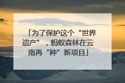 为了保护这个“世界遗产”，蚂蚁森林在云南再“种”新项目