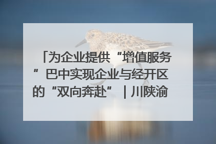 为企业提供“增值服务”巴中实现企业与经开区的“双向奔赴”｜川陕渝网络名人巴中行