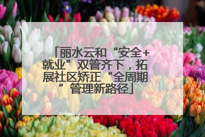 丽水云和“安全+就业”双管齐下，拓展社区矫正“全周期”管理新路径