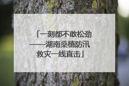 一刻都不敢松劲——湖南桑植防汛救灾一线直击