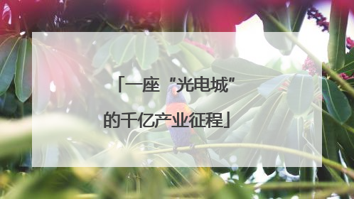 一座“光电城”的千亿产业征程