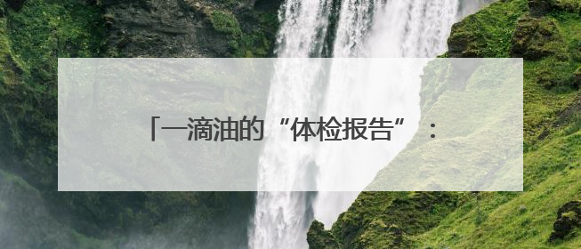 一滴油的“体检报告”：在普陀东白莲岛油品储运基地，记者化身油品化验员