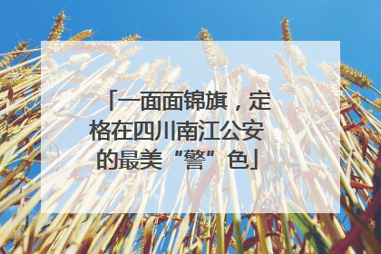 一面面锦旗，定格在四川南江公安的最美“警”色