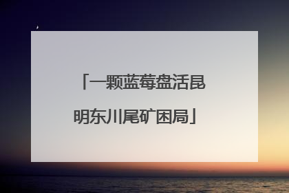 一颗蓝莓盘活昆明东川尾矿困局