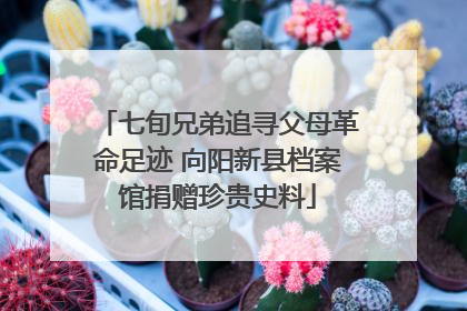 七旬兄弟追寻父母革命足迹 向阳新县档案馆捐赠珍贵史料
