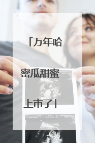万年哈密瓜甜蜜上市了