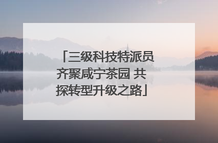 三级科技特派员齐聚咸宁茶园 共探转型升级之路