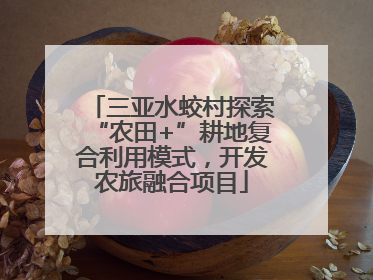 三亚水蛟村探索“农田+”耕地复合利用模式，开发农旅融合项目