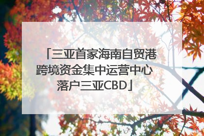 三亚首家海南自贸港跨境资金集中运营中心落户三亚CBD