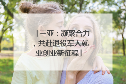 三亚：凝聚合力，共赴退役军人就业创业新征程