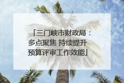 三门峡市财政局：多点聚焦 持续提升预算评审工作效能