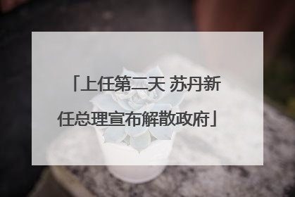 上任第二天 苏丹新任总理宣布解散政府