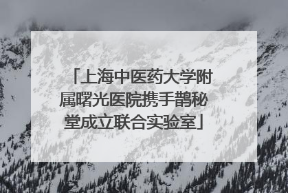 上海中医药大学附属曙光医院携手鹊秘堂成立联合实验室