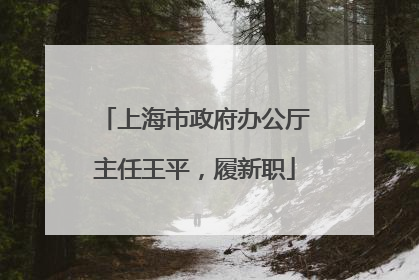 上海市政府办公厅主任王平，履新职