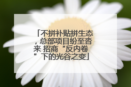 不拼补贴拼生态，总部项目纷至沓来 招商“反内卷”下的光谷之变