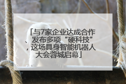 与7家企业达成合作、发布多项“硬科技”，这场具身智能机器人大会蓉城启幕
